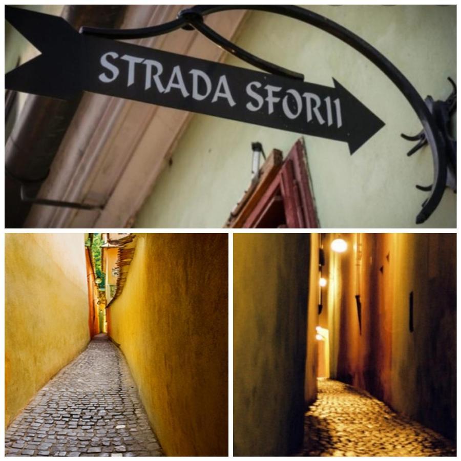 Ama Apartament Cu Terasa 50 Mp & Parcare Braşov Buitenkant foto